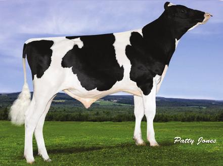 Premier Progeny Testing Program Semen Sales: Young Sire availability can change on a daily basis.