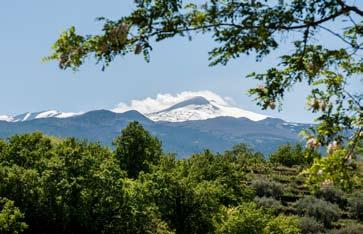 Afterwards, you will visit a lava cave and back on the 4WD you will climb up an ancient lava flow in order to reach Valle del Bove one of the most breathtaking sceneries that Mt Etna gives us.