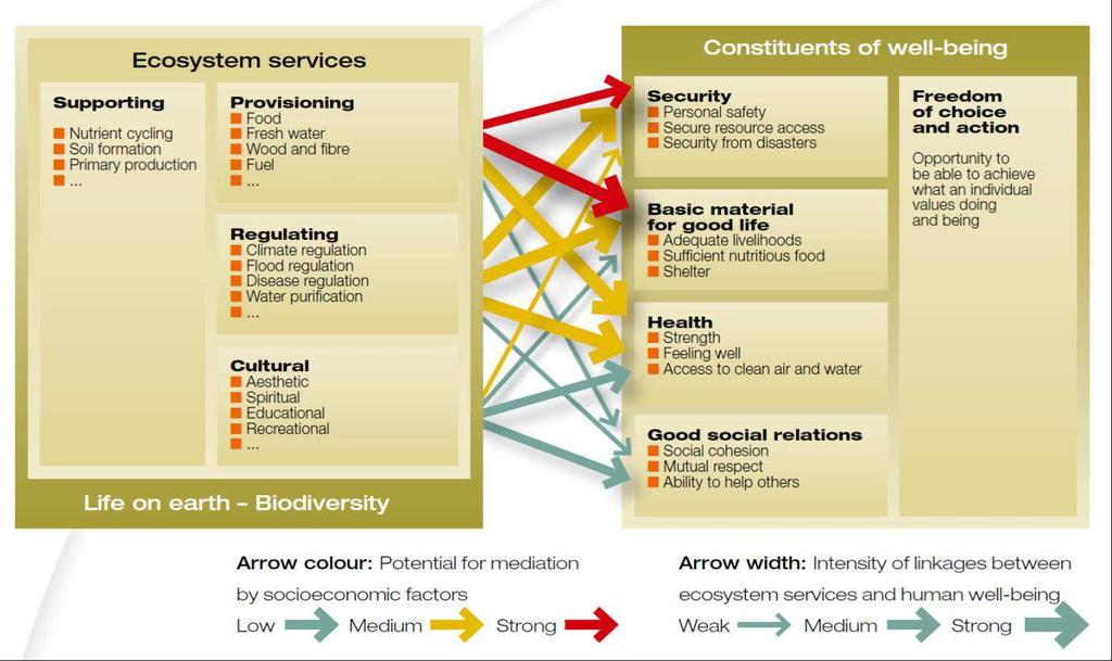 Figure 4 The Linkages between Ecosystem Services and Human Well-being (source: Hassan et al.