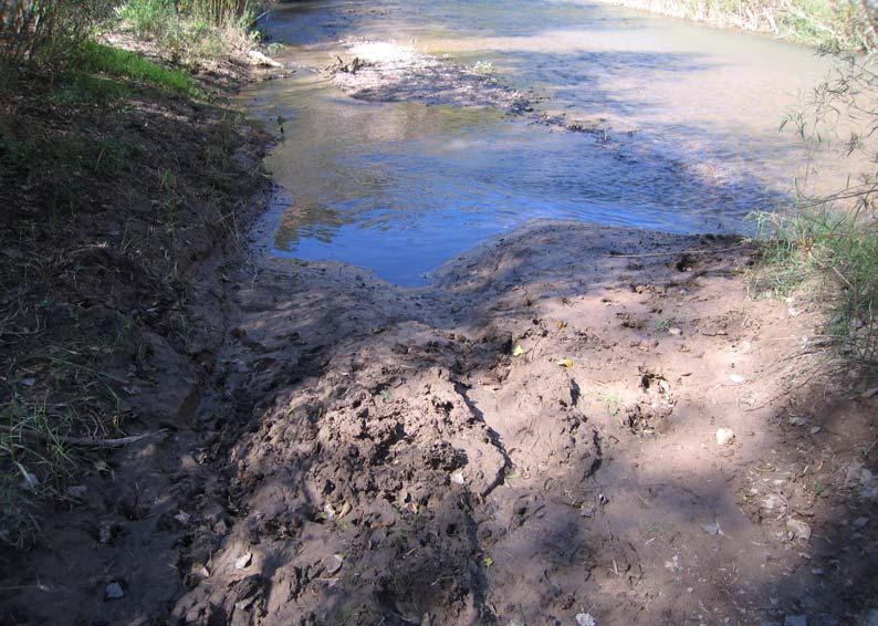 Note cumulative impacts of grazing and ORVs causing bank cutting,