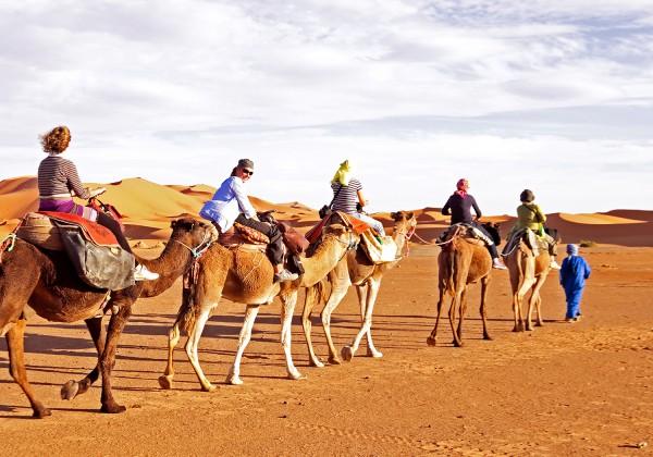 Overnight - Marrakech (B, D) Day 18 : Camel trek into the Sahara Day 17 : Ait Benhaddou & Ouarzazate to the Berber Camp.
