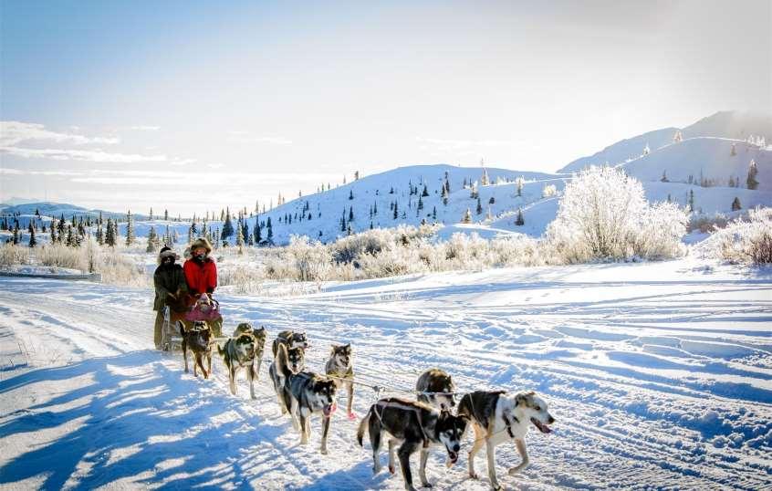 DAYS THREE - FOUR Winter Adventures at The Lodge at Black Rapids DAY FIVE Travel to Fairbanks Experience the Ice Art Championships Explore your very own wonderland as you meet sled dogs and go