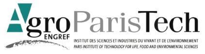 The Paris Institute of Technology &