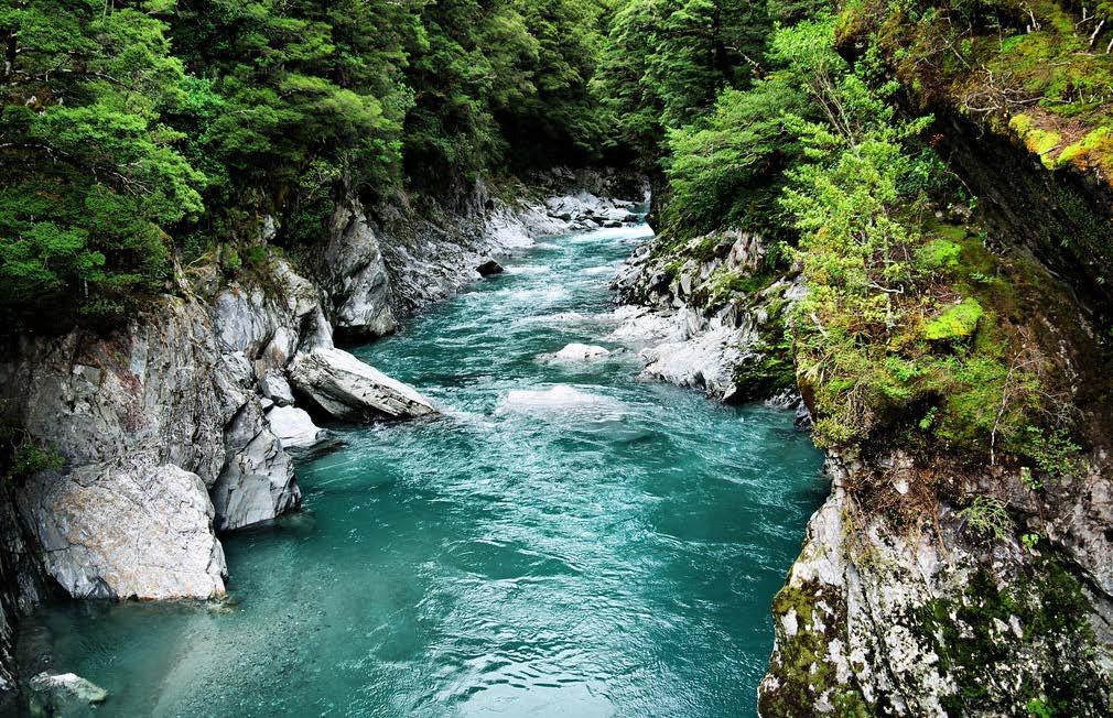 Wanaka Keep an eye out for wildlife as we head through stunning Hasast Pass and Thunder Creek Falls, beautified by ancient rainforests, small glaciers and waterfalls.