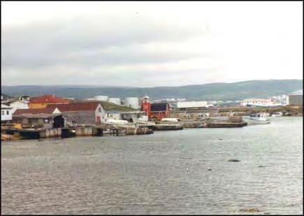 The town of St. Anthony near the northern end of Route 430 is the largest town on the Great Northern Peninsula. Dr.