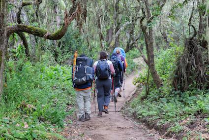 Road transfer to Londorossi gate, Kilimanjaro National Park.