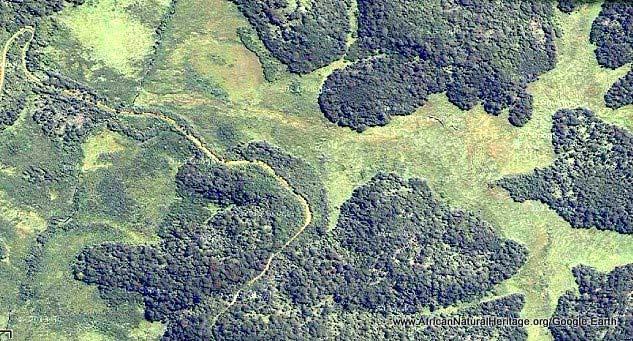 Satellite image of the main upland swamp, showing the course of the main road through the park, and the forested