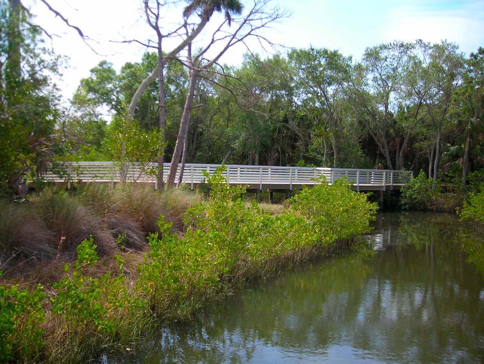 This south portion of the Preserve has been left almost entirely as a natural coastal habitat.