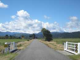 CHAPTER 10. WEST COAST 167 10.3.2 Hokitika to Arthur s Pass via the Old Christchurch Road (90k) Head north out of Hokitika for about 9km to Arahura.