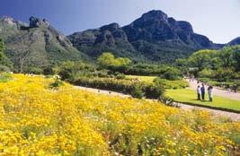 Kirstenbosch Botanical Gardens 2. Victoria & Alfred Waterfront Cape Town s Victoria and Alfred Waterfront has established itself as a leading world-class waterfront.