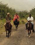 LESOTHO PONY TREKKING TRIPS These tours travel up the Sani Pass in a 4x4, continuing over Black Mountain Pass and down into the valleys to our riding base at Molumong Lodge.
