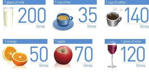 Skrita voda v naši hrani Kozarec mleka Skodelica čaja Skodelica kave litrov litrov litrov 1 pomaranča 1 jabolko 1 kozarec vina litrov litrov litrov Vir: FAO http://www.fao.