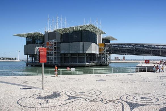 Set in perfect harmony by the Tagus river shoreline, the Oceanário is the perfect venue