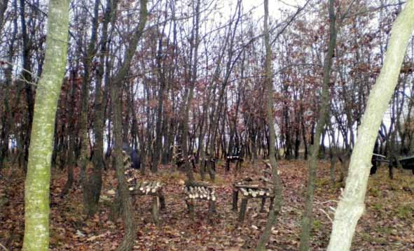 DUMRE Parku Natyror i Dumresë Organizata zbatuese: Shoqata Kombëtare e Pyjeve dhe Kullotave Komunale Shuma e grantit: 1.711.