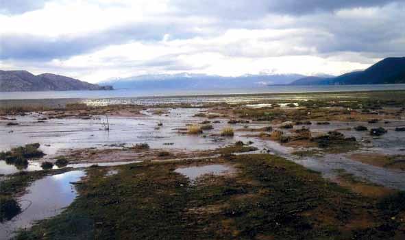 LIQENI I OHRIT Shpallja e rajonit të Liqenit të Ohrit dhe pellgut të tij ujëmbledhës Rezervë Biosfere sfidë për aktorët e këtij komuniteti Organizata zbatuese: Shoqata Gruaja Intelektuale Pogradecare