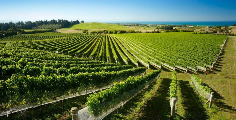 Day, 03 March 2018 This morning you will be met at your accommodation by your private vehicle and guide for a full day tour of Hawke's Bay, including highlights such as food and wine, sightseeing,