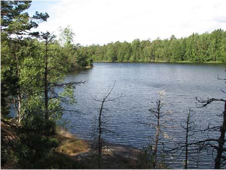 The island has the highest point of all islands in Southern Finland.