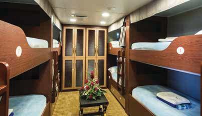 Deluxe (7): Similar to Superior Deluxe Staterooms with same size private outdoor balcony but slightly smaller interior (13m 2 ).