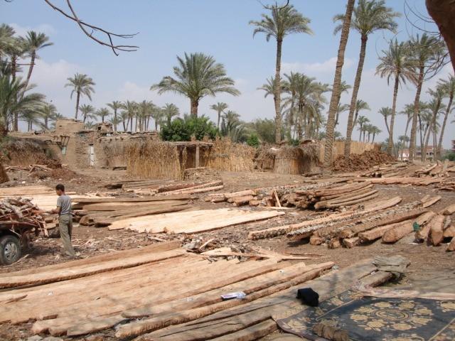 Palm tree crafts for sustainable development A new workshop for palm tree crafts is currently being established in the village of Abu Sir (Giza governorate), close to the World Heritage site of the