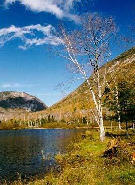 The Around-The-Lake Trail (Ammonoosuc Lake) and Red Bench Trail: One of the Crawford Notch region's true hidden gems, Ammonoosuc Lake is a four-acre pond nestled amidst a forest of dark spruces.