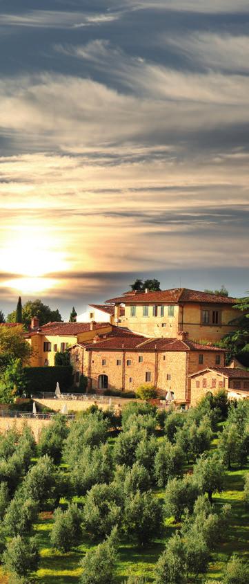 Excursions and activities Outside Florence p4 Full Day Siena and Chianti Tour FULL DAY CAR (MAX 8 HOURS) HALF DAY LOCAL IN SIENA (MAX 2.