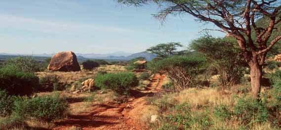 Northern Kenya Tribes & Scenery - 7 Days Typical Flights Flight Date From To Depart Arrive Airline London Nairobi 2000 0830+1 Kenya Airways Nairobi London 2345 0645+1 Kenya Airways An extraordinary