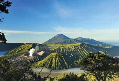 The Komodo Na onal Park cover an area of 1,817 km2 is the home of the world famous Komodo Dragon (Varanus Komodoensis) and serve as a conserva on area for many other flora and fauna both on land and