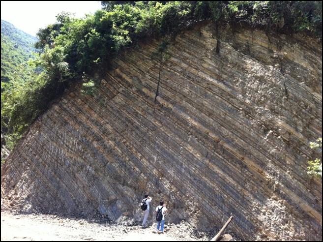 Ovdje smo u donjotrijaskim naslagama našli mnoštvo fosilnih ostataka, ponajviše amonita i školjkaša. Slika 13.