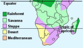 Climate The climate of Africa is governed by its position on the globe and can be broadly divided into five different climate types: Rainforest - This region is characterised by very high
