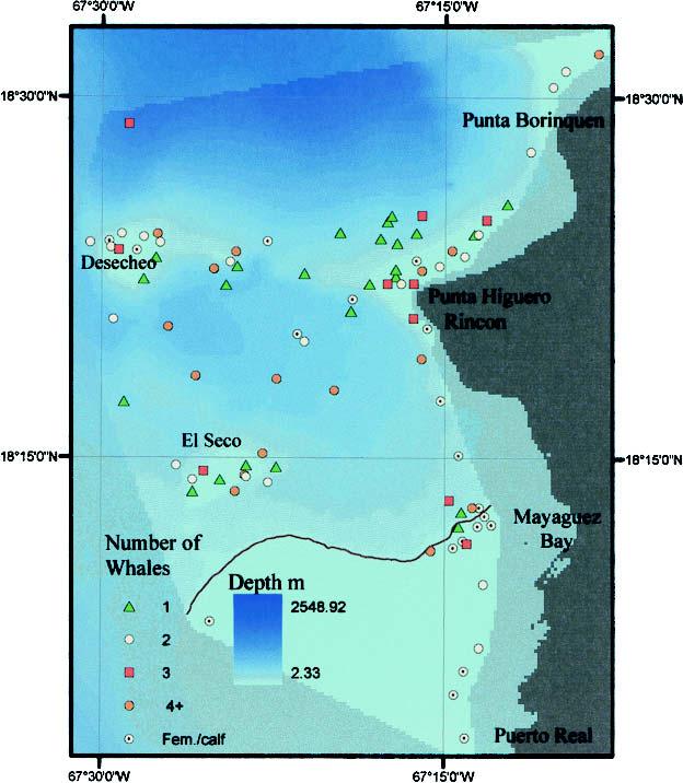 Fig. 1 live 4/C HUMPBACK WHALES OFF WESTERN PUERTO RICO 103 FIG. 1. Bathymetry map of northwest Puerto Rico showing the Humpback whales positions relative to depth (meters) between January and March, 1995, 1996 and 1997.