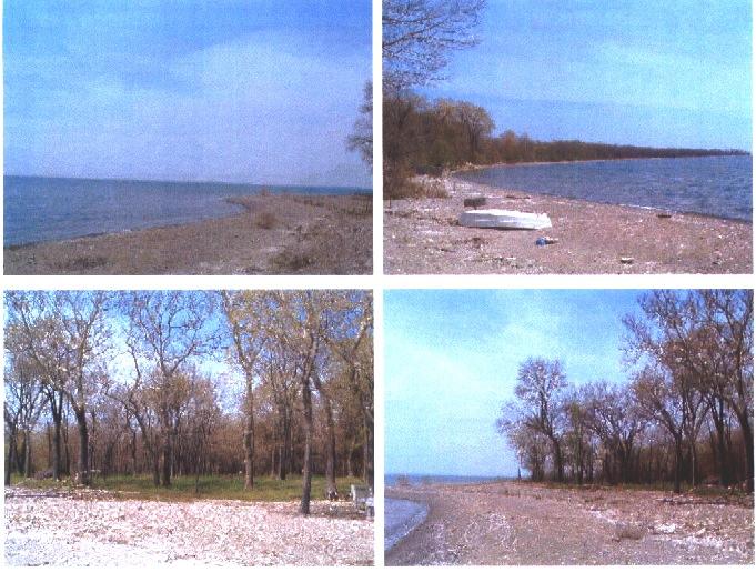 PROPERTY #11-12-13 THREE SPECTACULAR BUILDING LOTS SURROUNDED BY POINT PELEE PARK WATERFRONT BUILDING LOT ON MCCORMICK ROAD SURROUNDED BY THE PELEE NATURE PRESERVE CLEARLY THE BEST THREE LOTS ON ALL