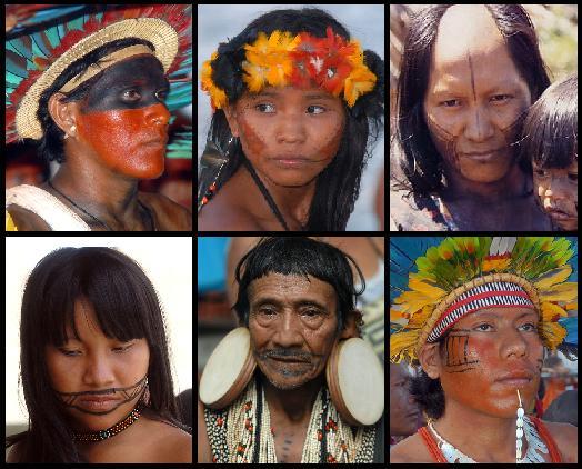 Amerindian Tribes Amerindian tribes also known as native Americans 60% of native American tribes live in the Amazon Rainforest Huge decline in native Americans since the arrival of