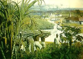 Colonialism Portugal colonised Brazil in the 15th century Concentrated on sugar and coffee production Portuguese settlers farmed huge plantations (farms) Imported slave labour from West Africa