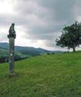 Natural and cultural sights 91 NATURAL SIGHTS: The Old Vine in Banovina, Virštanj