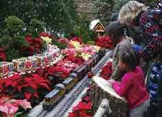 com (Waukesha NOV 28-DEC 14 GREEN BAY Green Bay Botanical Garden - WPS Garden of Lights: A holiday favorite with more than 200,000 lights crafted in flowers, butterflies, and other botanical themes.