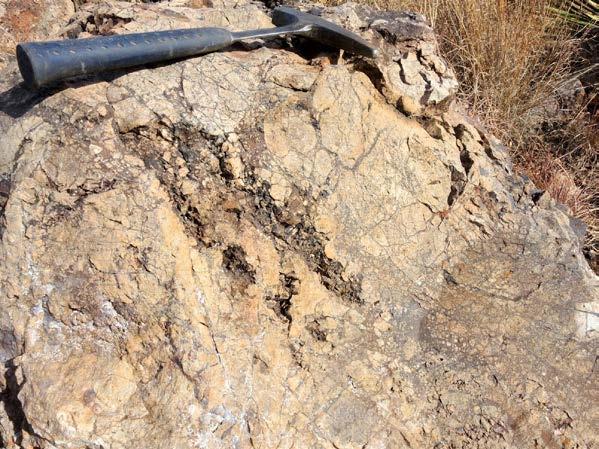 Exploration News Flow LOMA BONITA Drilling continues to expand gold zone Potential for >200,000oz gold At surface, open pit oxide mineralisation Good metallurgy -
