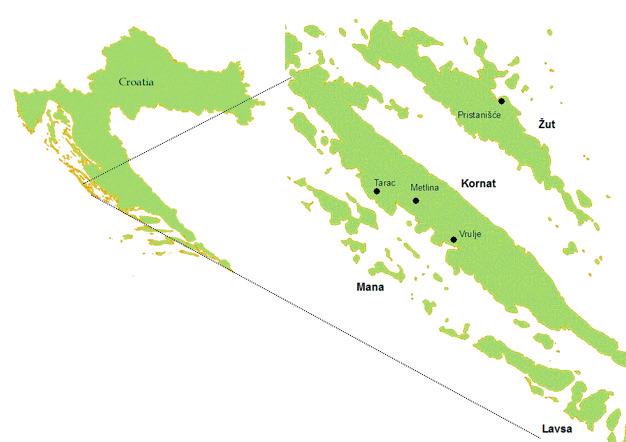 Figure 1. Map of locations on the islands of Žut, Kornat, Lavsa and Mana investigated. Slika 1. Prikaz istraživanih lokaliteta na otocima Žut, Kornat, Lavsa i Mana.