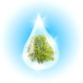 Министарство енергтике, развоја и заштите животне средине До сада се контрола заштите вода и водених екосистема вршила индиректно праћењем