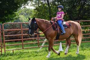 Camp Pondicherry s specialty horse programs would be perfect! What about sailing or rock climbing? Camp Natarswi offers awesome specialty adventure programs.