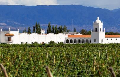 Day 11: Mendoza Meals included: Breakfast, Lunch Travel just outside of the city to Maipu, the heart of one of Argentina s most important and oldest wine growing regions.