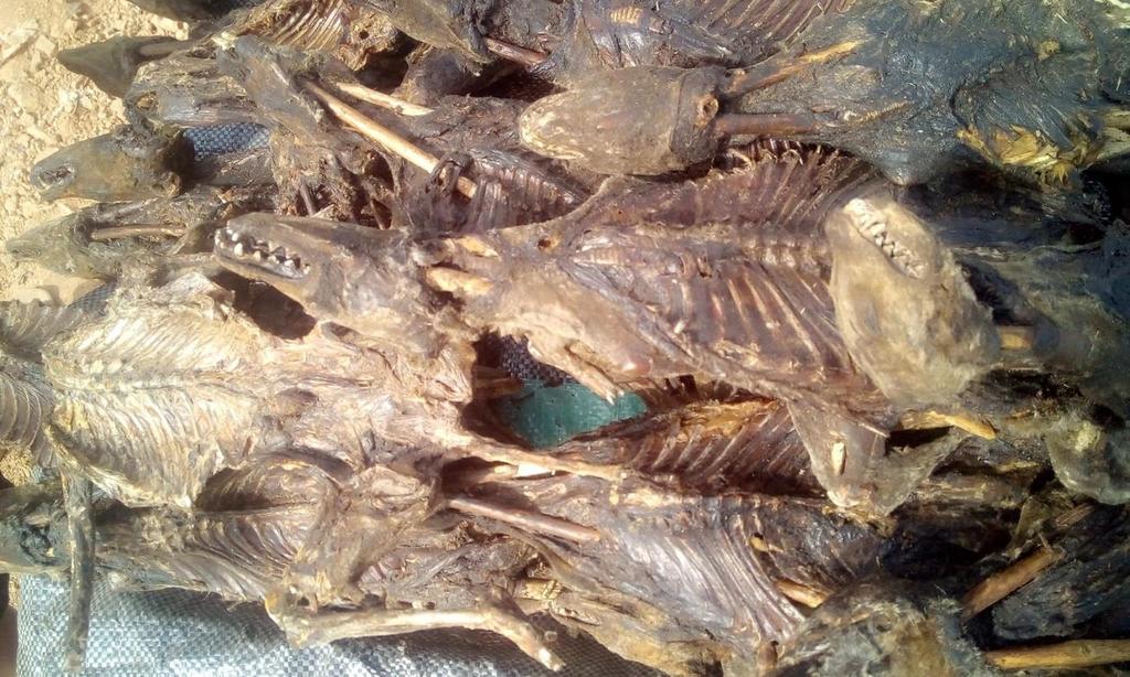 Some photos of the types of carcasses for sale in Abuja markets [WARNING: Photos are graphic but