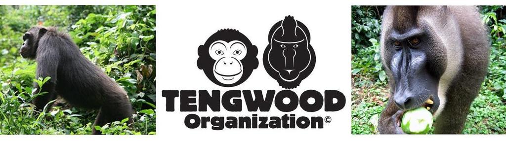 Tengwood.org was founded in 2011 and is registered in Switzerland. As a nonprofit organization it is tax-free.