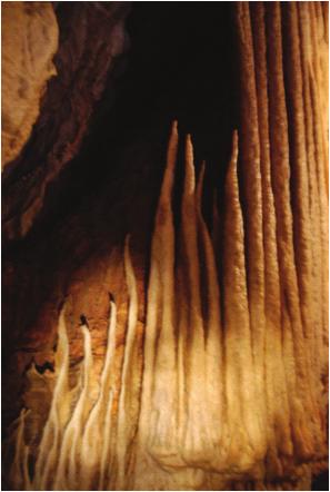 Pamje të pasurive nëntokësore nga Shpella e Madhe Shpella Gryka e Madhe është krijuar në shkëmbinjtë e Triasikut nga rrjedha ujore.
