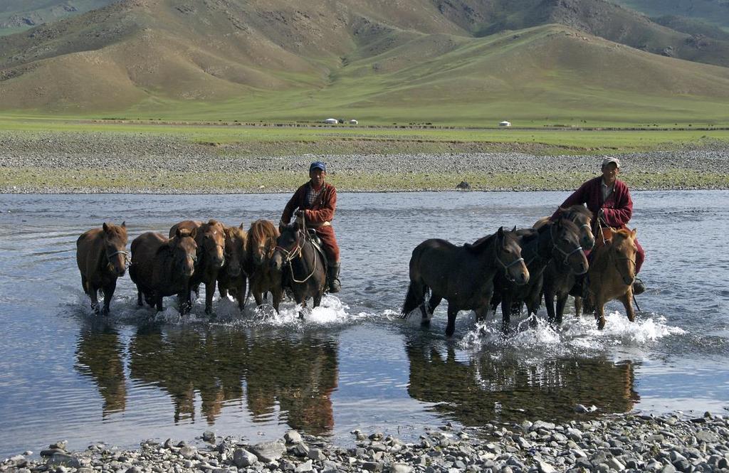 Although development is creeping forward, its fascinating ancient nomadic cultures are still largely untouched by western influence and its varying landscapes range from the vast, inhospitable Gobi