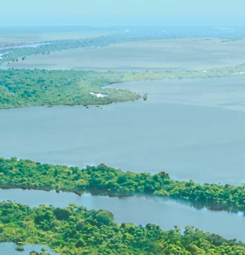 Dear Alumni & Friends: Visiting the mysterious Amazon River Basin, one of Earth s most exotic natural realms and our planet s largest rainforest ecosystem, is an unforgettable and once-in-a-lifetime
