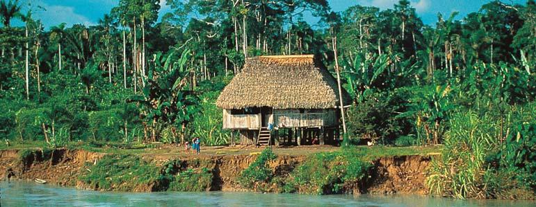 Learn how generations of Amazon ribereños have lived in harmony with their unique environment.