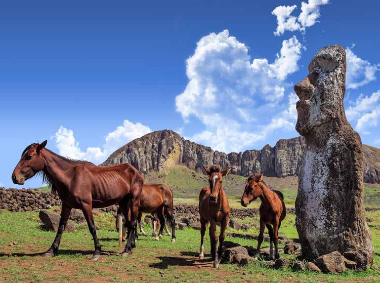 Add to this the mysterious Easter Island, one of the most isolated places on earth endowed with the striking moai statues, this 14 day magical tour offers the very best this region has to offer.