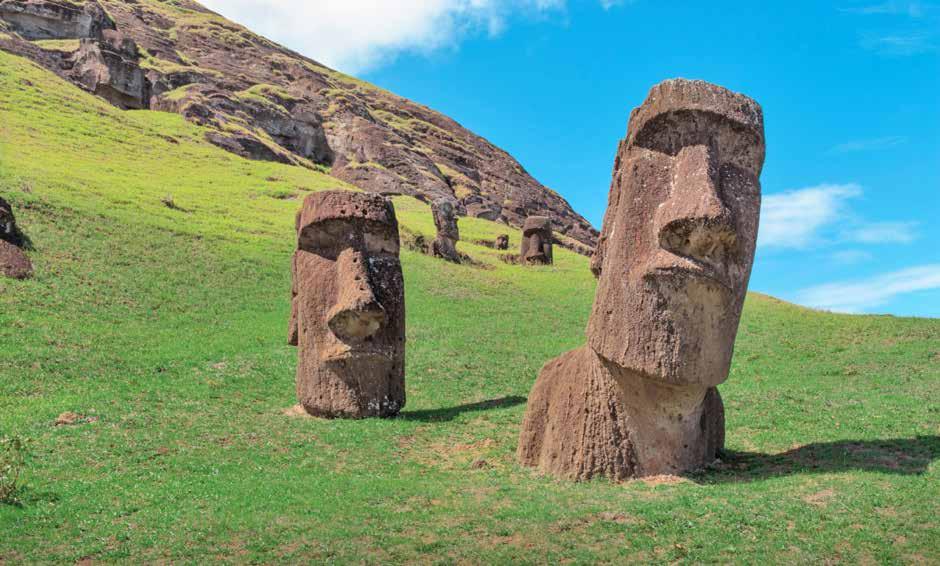 CHILE & EASTER ISLAND TOUR DOSSIER WHAT TO PACK Sunscreen and hat in summer Thermal/warm clothing (for the Atacama Desert) Comfortable walking shoes Camera and charger Loo paper for public WCs