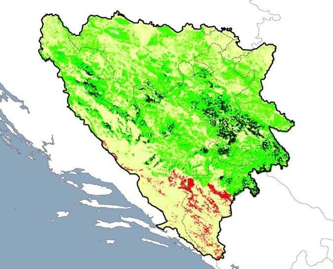 Forest area in Bosnia and