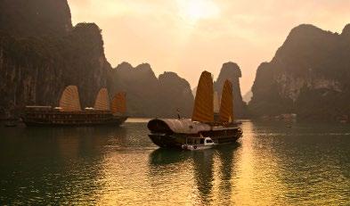 VIVID VIETNAM $ 1999 PER PERSON TWIN SHARE THAT S % OFF 50 TYPICALLY $3999 HANOI HO CHI MINH CITY HALONG BAY HOI AN From the Mekong Delta and Halong Bay islands to the rich tapestry of Hoi An and Ho